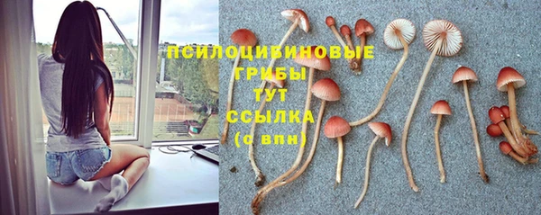 Альфа ПВП Арсеньев