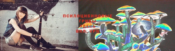 Альфа ПВП Арсеньев