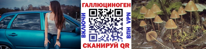 где можно купить   гидра ссылка  Псилоцибиновые грибы ЛСД  Сенгилей 